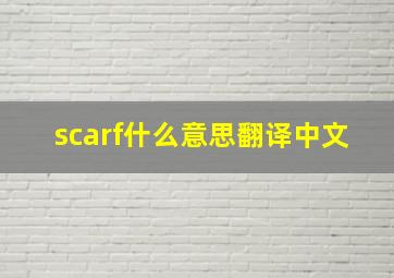 scarf什么意思翻译中文