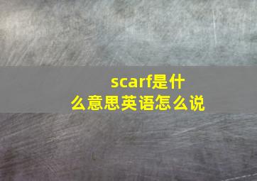 scarf是什么意思英语怎么说