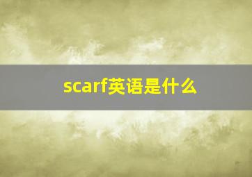 scarf英语是什么