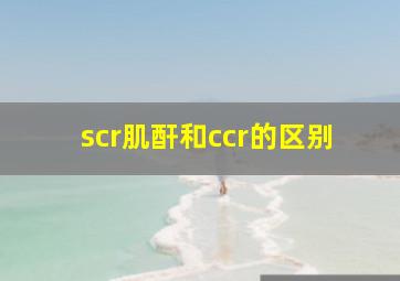 scr肌酐和ccr的区别