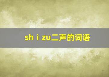 shⅰzu二声的词语