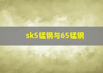 sk5锰钢与65锰钢