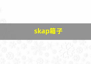 skap箱子