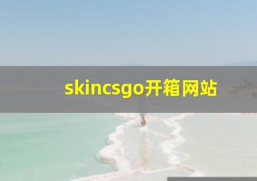 skincsgo开箱网站