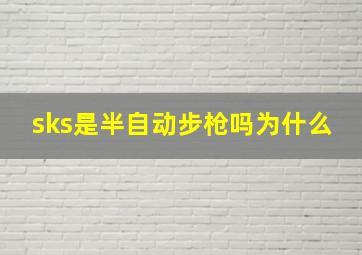 sks是半自动步枪吗为什么