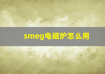 smeg电磁炉怎么用