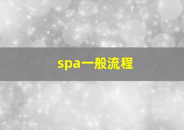 spa一般流程