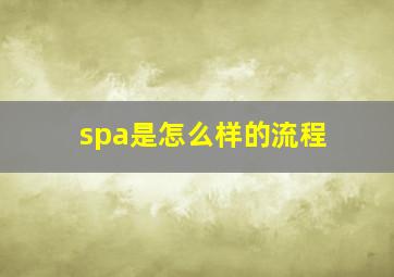 spa是怎么样的流程