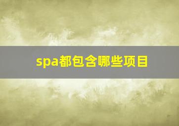 spa都包含哪些项目