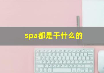 spa都是干什么的