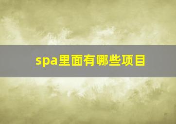 spa里面有哪些项目