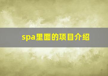 spa里面的项目介绍