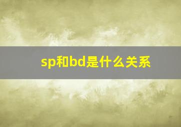 sp和bd是什么关系