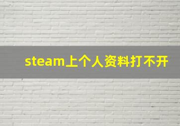 steam上个人资料打不开