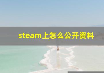 steam上怎么公开资料