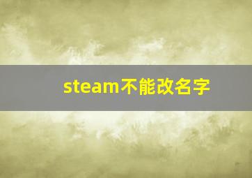 steam不能改名字