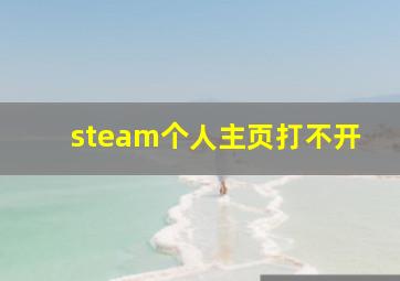 steam个人主页打不开