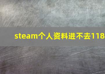 steam个人资料进不去118