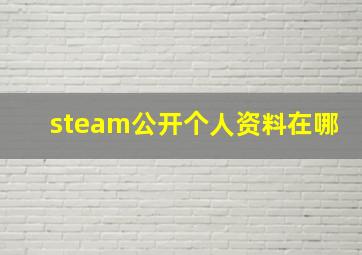 steam公开个人资料在哪