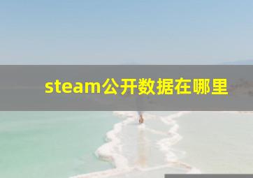 steam公开数据在哪里