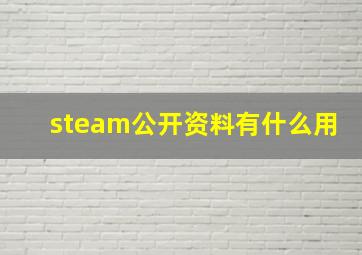 steam公开资料有什么用