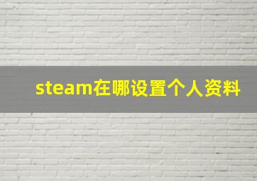 steam在哪设置个人资料