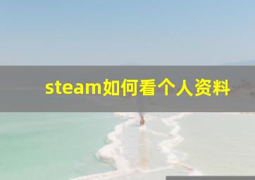 steam如何看个人资料