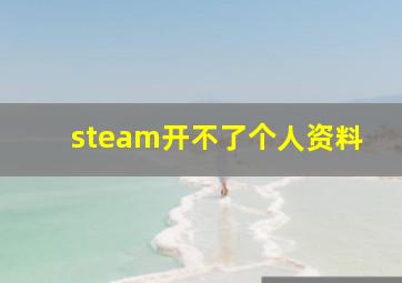 steam开不了个人资料