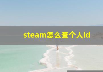 steam怎么查个人id