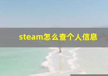 steam怎么查个人信息