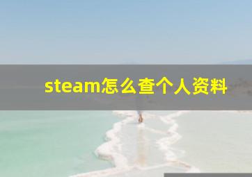 steam怎么查个人资料