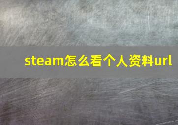 steam怎么看个人资料url