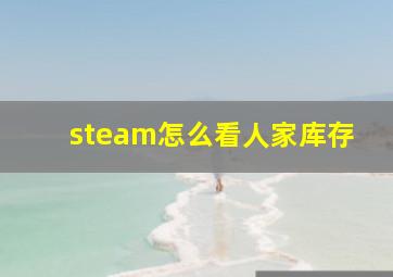 steam怎么看人家库存