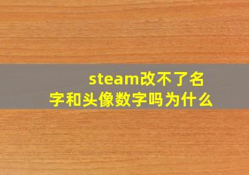 steam改不了名字和头像数字吗为什么