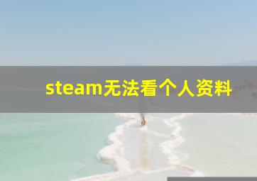 steam无法看个人资料