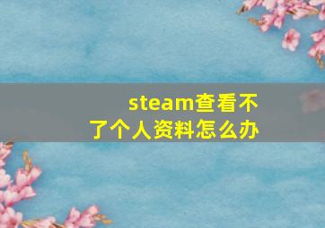 steam查看不了个人资料怎么办