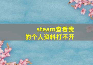 steam查看我的个人资料打不开