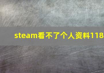 steam看不了个人资料118