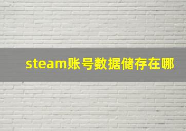 steam账号数据储存在哪