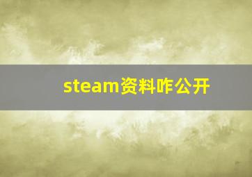 steam资料咋公开