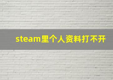 steam里个人资料打不开