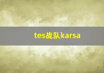 tes战队karsa