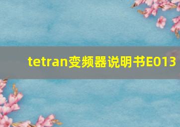 tetran变频器说明书E013