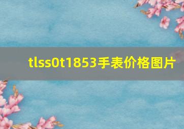 tlss0t1853手表价格图片