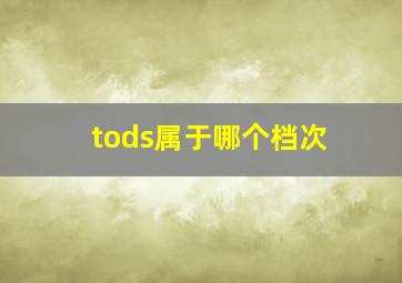 tods属于哪个档次