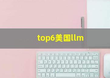 top6美国llm