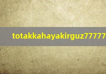 totakkahayakirguz77777的起源