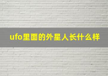 ufo里面的外星人长什么样