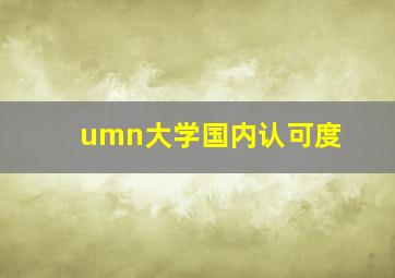 umn大学国内认可度