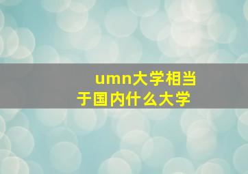 umn大学相当于国内什么大学